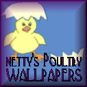 Netty's Poultry Wallpapers.